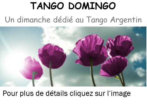 5 Coquelicots mauves pour page d'acceuil