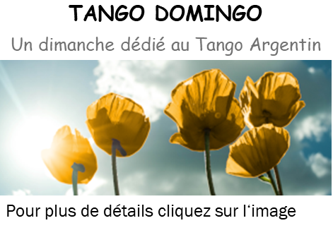 5 Coquelicots jaunes pour page d'acceuil